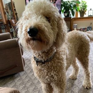 Meet your Posher, Julie